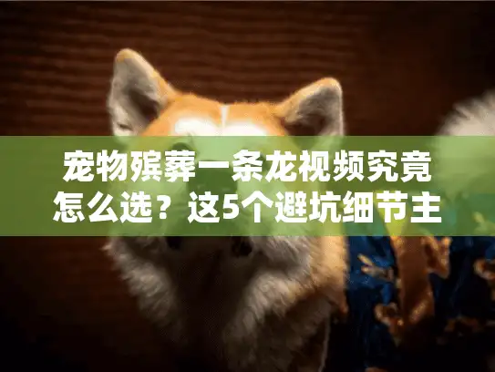 宠物殡葬一条龙视频究竟怎么选？这5个避坑细节主人必看