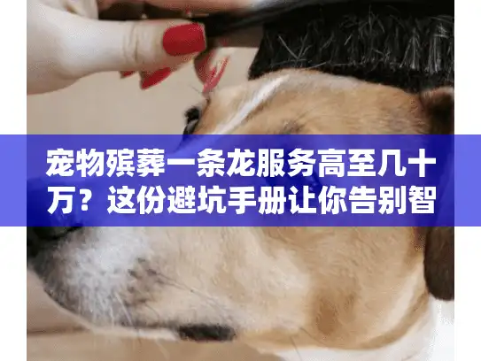 宠物殡葬一条龙服务高至几十万？这份避坑手册让你告别智商税