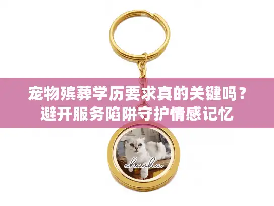 宠物殡葬学历要求真的关键吗？避开服务陷阱守护情感记忆