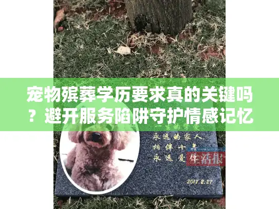宠物殡葬学历要求真的关键吗？避开服务陷阱守护情感记忆