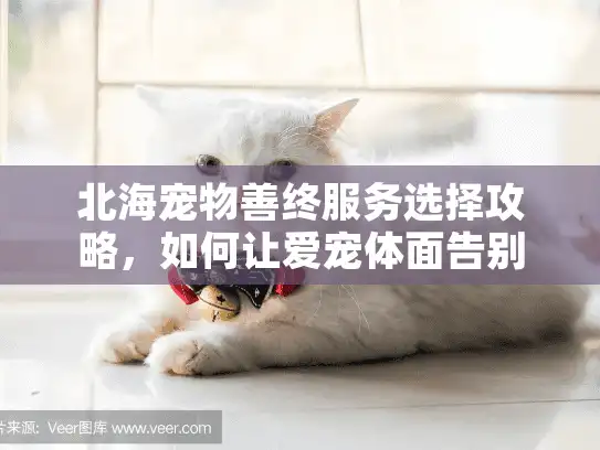 北海宠物善终服务选择攻略，如何让爱宠体面告别？