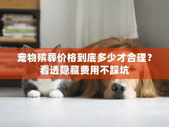 宠物殡葬价格到底多少才合理？看透隐藏费用不踩坑