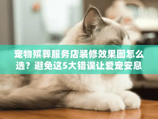 宠物殡葬服务店装修效果图怎么选？避免这5大错误让爱宠安息更体面