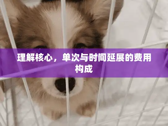 理解核心，单次与时间延展的费用构成