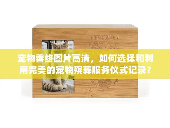 宠物善终图片高清，如何选择和利用完美的宠物殡葬服务仪式记录？