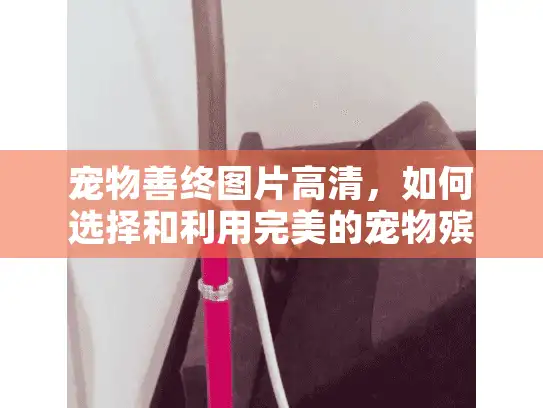 宠物善终图片高清，如何选择和利用完美的宠物殡葬服务仪式记录？