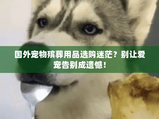 国外宠物殡葬用品选购迷茫？别让爱宠告别成遗憾！