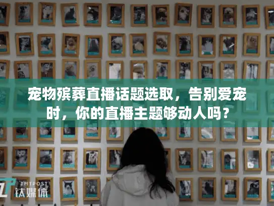 宠物殡葬直播话题选取，告别爱宠时，你的直播主题够动人吗？