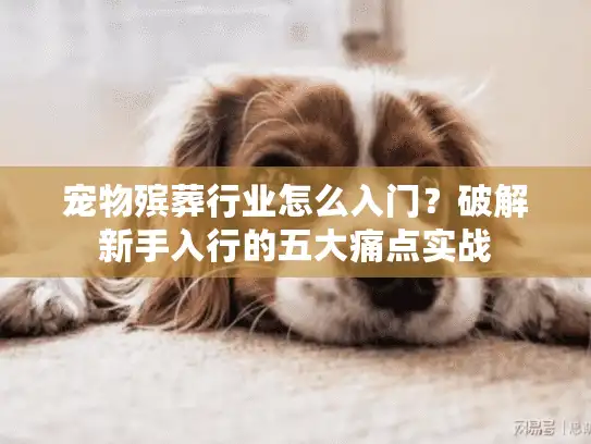 宠物殡葬行业怎么入门？破解新手入行的五大痛点实战
