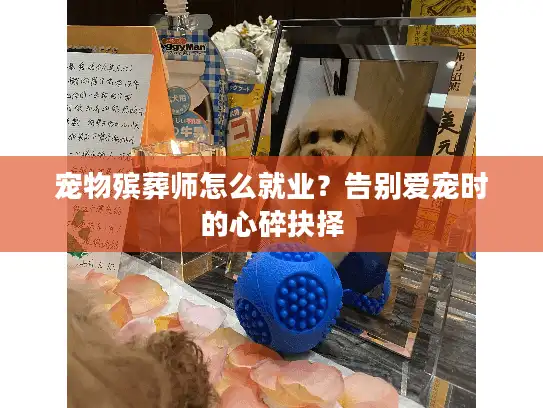 宠物殡葬师怎么就业？告别爱宠时的心碎抉择