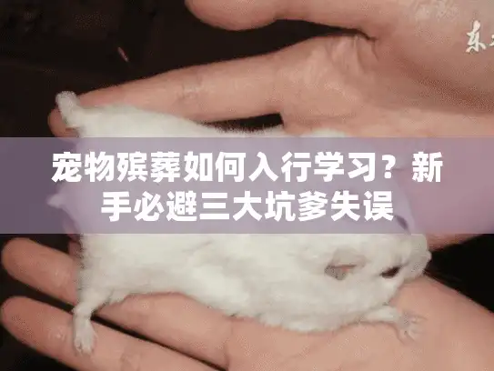 宠物殡葬如何入行学习？新手必避三大坑爹失误