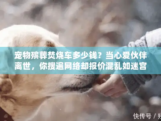 宠物殡葬焚烧车多少钱？当心爱伙伴离世，你搜遍网络却报价混乱如迷宫