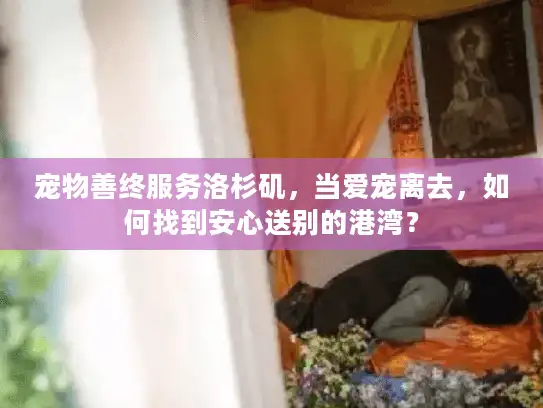 宠物善终服务洛杉矶，当爱宠离去，如何找到安心送别的港湾？