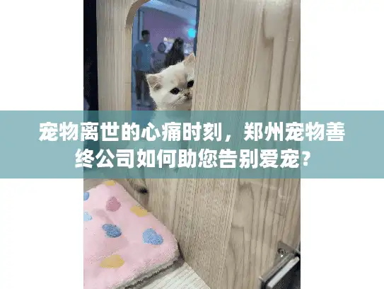 宠物离世的心痛时刻，郑州宠物善终公司如何助您告别爱宠？