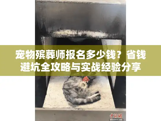 宠物殡葬师报名多少钱？省钱避坑全攻略与实战经验分享