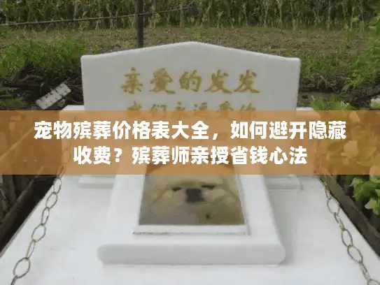 宠物殡葬价格表大全，如何避开隐藏收费？殡葬师亲授省钱心法