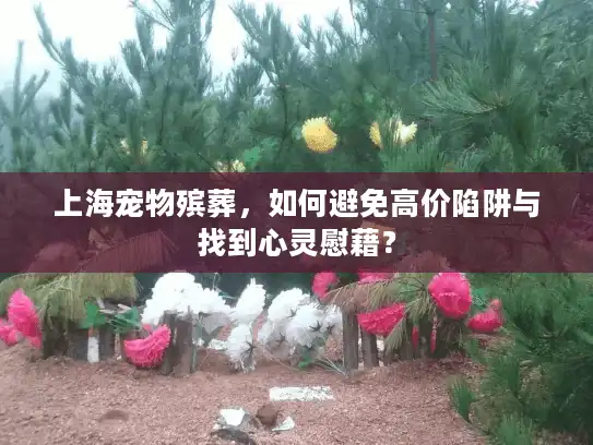上海宠物殡葬，如何避免高价陷阱与找到心灵慰藉？