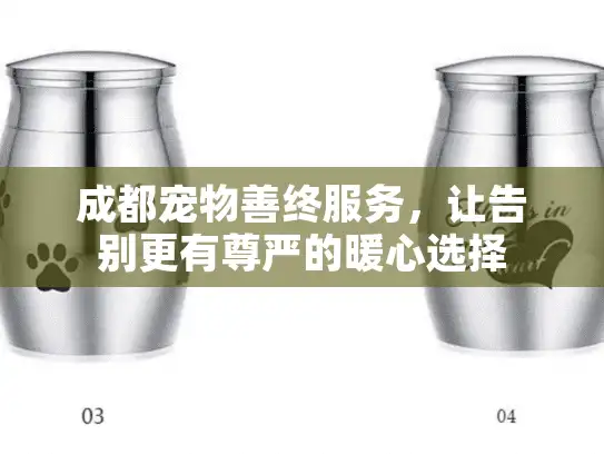 成都宠物善终服务，让告别更有尊严的暖心选择