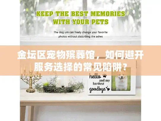 金坛区宠物殡葬馆，如何避开服务选择的常见陷阱？