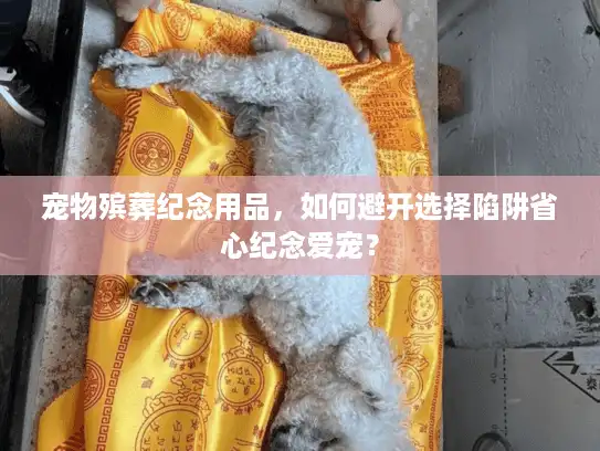 宠物殡葬纪念用品，如何避开选择陷阱省心纪念爱宠？