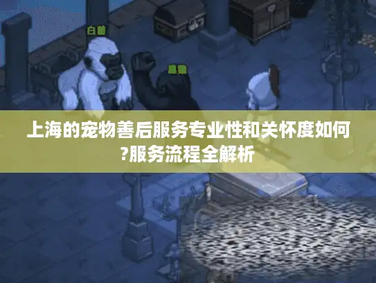 上海的宠物善后服务专业性和关怀度如何?服务流程全解析