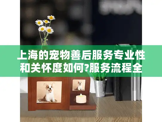 上海的宠物善后服务专业性和关怀度如何?服务流程全解析