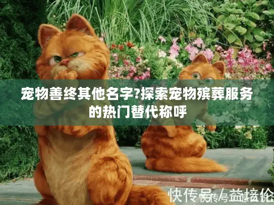 宠物善终其他名字?探索宠物殡葬服务的热门替代称呼
