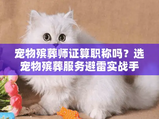 宠物殡葬师证算职称吗？选宠物殡葬服务避雷实战手册