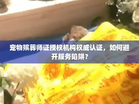 宠物殡葬师证授权机构权威认证，如何避开服务陷阱？