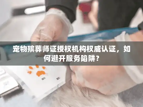 宠物殡葬师证授权机构权威认证，如何避开服务陷阱？