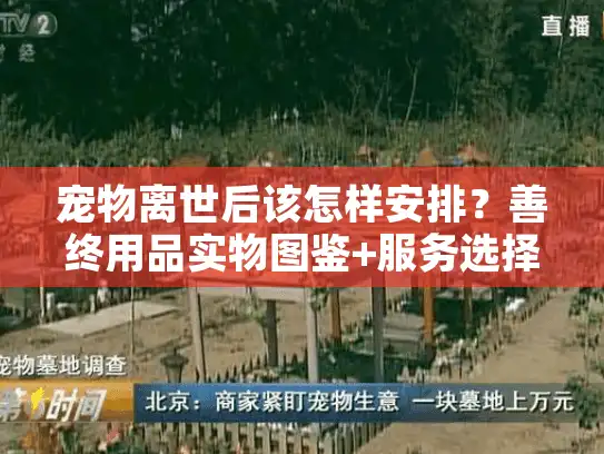 宠物离世后该怎样安排？善终用品实物图鉴+服务选择指南