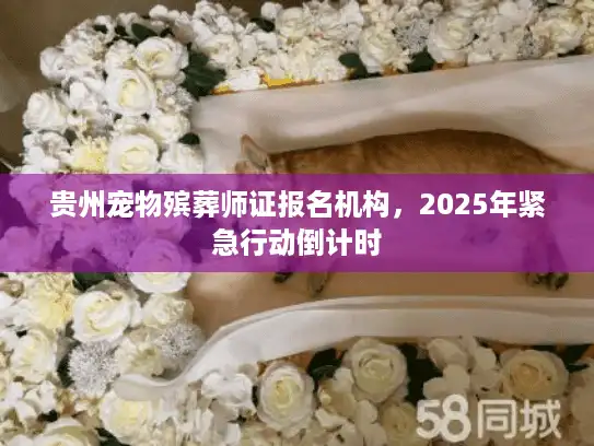 贵州宠物殡葬师证报名机构，2025年紧急行动倒计时