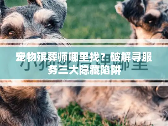 宠物殡葬师哪里找？破解寻服务三大隐藏陷阱