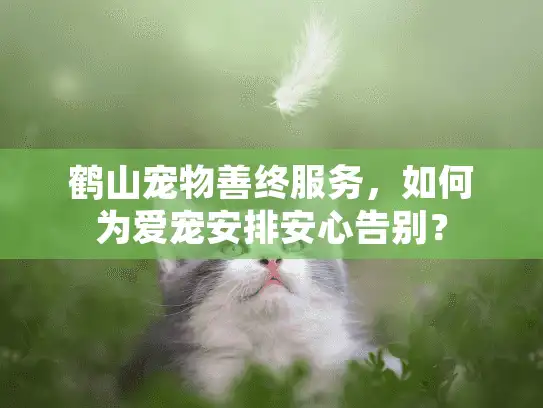 鹤山宠物善终服务，如何为爱宠安排安心告别？