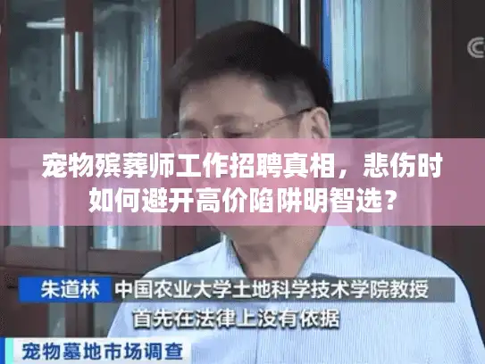 宠物殡葬师工作招聘真相，悲伤时如何避开高价陷阱明智选？