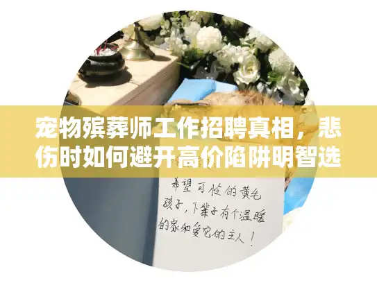 宠物殡葬师工作招聘真相，悲伤时如何避开高价陷阱明智选？