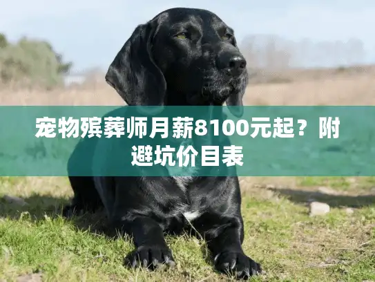 宠物殡葬师月薪8100元起？附避坑价目表