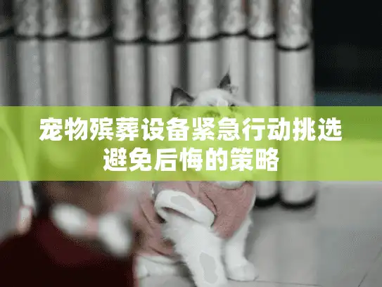 宠物殡葬设备紧急行动挑选避免后悔的策略