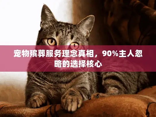 宠物殡葬服务理念真相，90%主人忽略的选择核心