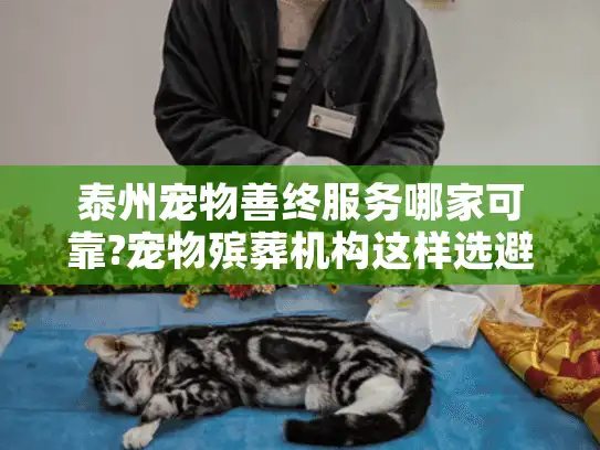 泰州宠物善终服务哪家可靠?宠物殡葬机构这样选避雷