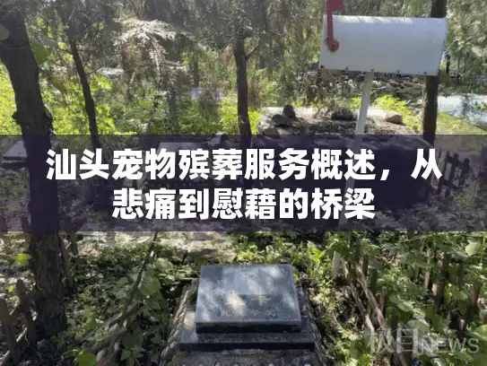 汕头宠物殡葬服务概述，从悲痛到慰藉的桥梁