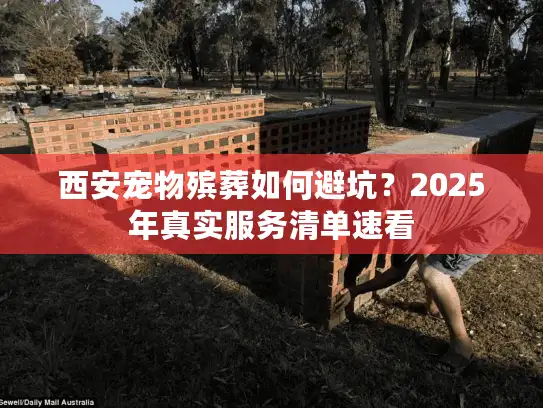 西安宠物殡葬如何避坑？2025年真实服务清单速看