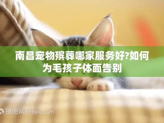 南昌宠物殡葬哪家服务好?如何为毛孩子体面告别