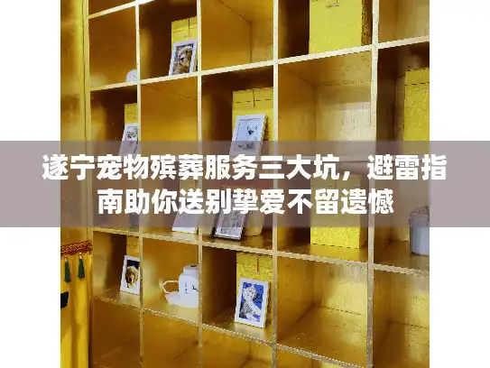 遂宁宠物殡葬服务三大坑，避雷指南助你送别挚爱不留遗憾