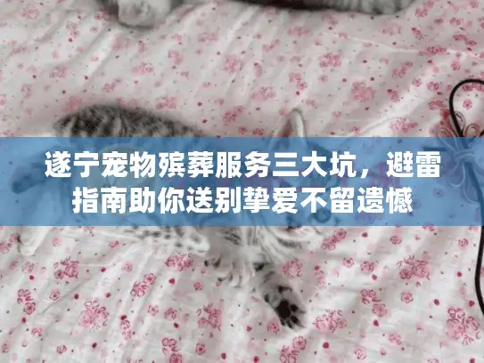 遂宁宠物殡葬服务三大坑，避雷指南助你送别挚爱不留遗憾