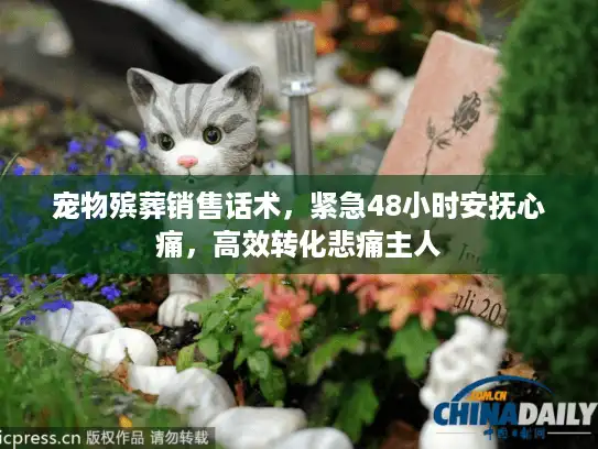宠物殡葬销售话术，紧急48小时安抚心痛，高效转化悲痛主人