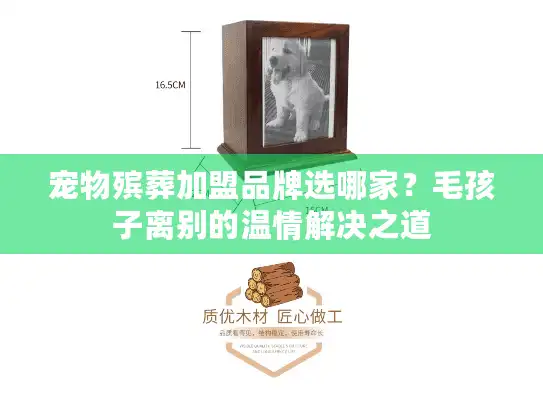 宠物殡葬加盟品牌选哪家？毛孩子离别的温情解决之道