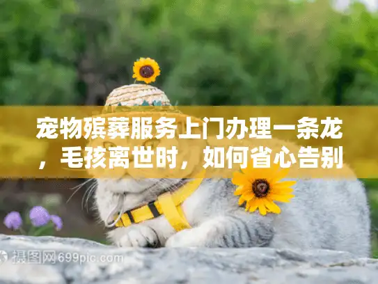 宠物殡葬服务上门办理一条龙，毛孩离世时，如何省心告别心碎时刻？