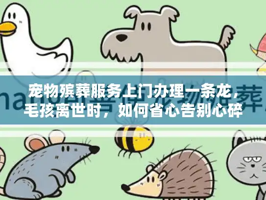 宠物殡葬服务上门办理一条龙，毛孩离世时，如何省心告别心碎时刻？