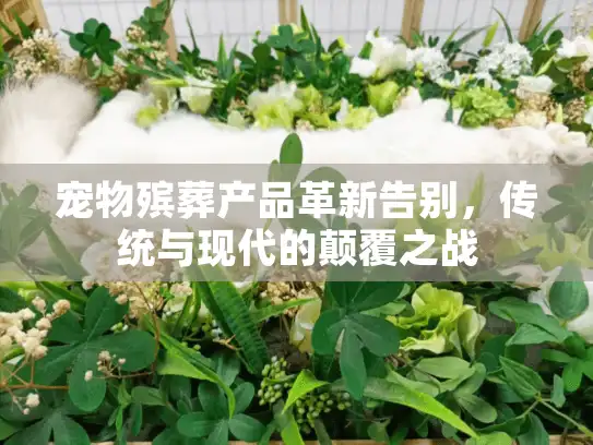 宠物殡葬产品革新告别，传统与现代的颠覆之战